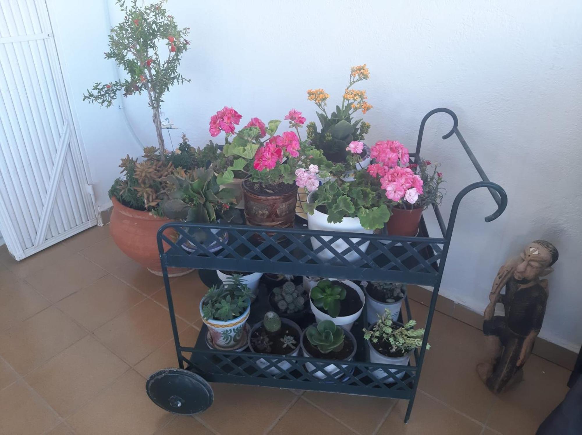 Casa independiente en San de los Terreros Con estupenda terraza, a dos minutos a pie de las playas Mar Serena y Calipso San Juan de los Terreros Exterior foto